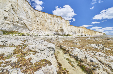 Fototapeta na wymiar Chalk cliffs on the Sussex coast, South Downs National Park