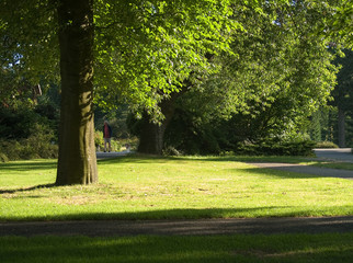 Park at Ermelo, Gelderland, Holland, NLD