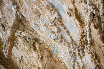 Obraz na płótnie Canvas Stone surface, natural cliff with hanging quickdraws. Rock climbing area.