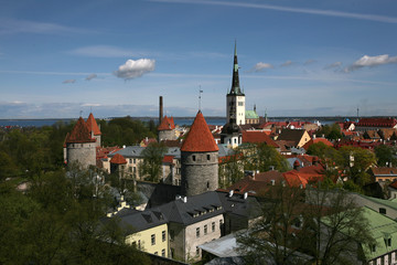 Obraz premium Tower and old building in Tallinn