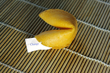 Fortune Cookie Moody Lighting on bamboo change