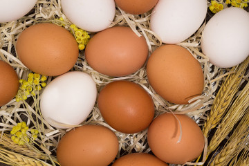 Chicken eggs, wheat, yellow flowers in  straw