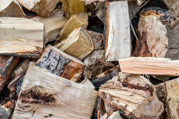 View at firewood wood