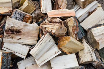 View at firewood wood