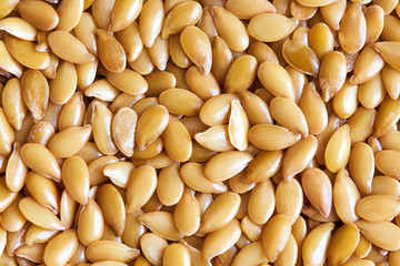 Closeup of golden sesame seeds background, filled frame