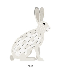 Hare with long ears - very fast animal