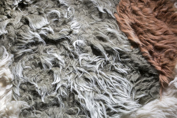 Фон и текстура натуральной овечьей шерсти крупным планом