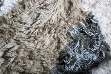 Фон и текстура натуральной овечьей шерсти крупным планом
