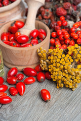 Medicinal plants and herbs composition: Dog rose, bunch branch Rosehips, types Rosa canina hips, essential oil. bunch, Tea with rosehip, Tansy dried flowers 