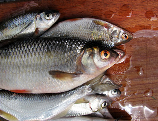 Background still life with river fish and kitchen board