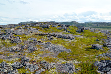 Fototapeta na wymiar Granite exposures on a hill slope. Kola Peninsula