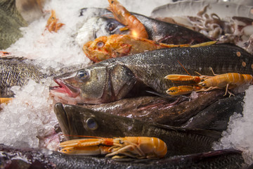 fresh seafood on crushed ice.