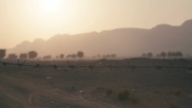 Close-up of barbed wire and trees silhouettes. Wire - fence in the desert. The boundary restricted area. Insulation. Dangerous area