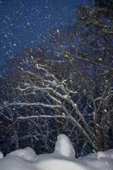 和室からの雪景色 Wall Mural Wallpaper Murals Wallsheaven Sakai 和室からの雪景色 Wall Mural Wallpaper Murals Wallsheaven Sakai