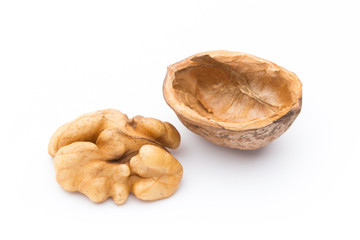 Walnut and walnut kernel isolated on the white background.