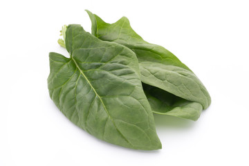 Fresh leaves of spinach on the white background.