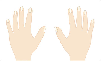vector image of female hands with nail Manicure
