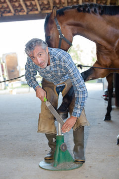 Portriat of farrier filing horse's hoof