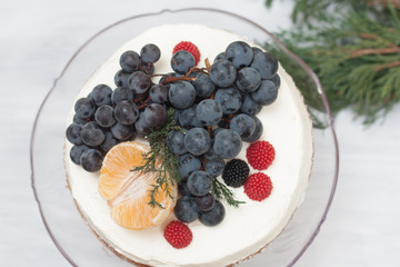 Biscuit cake with fruit hat