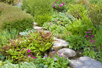 Stepping stones among green hostas, ferns, colorful flowers, shrubs, in a summer English cottage garden - 136247539