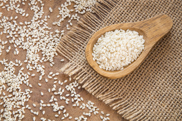 Sesame seeds on the wooden spoon (Sesamum indicum)