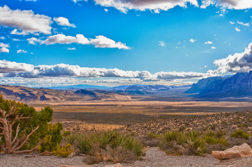 Desert landscape in  Nevada, USA