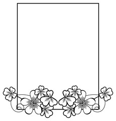 Black and white frame with shamrock contour.