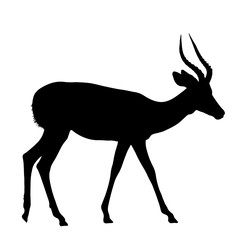 Impala antelope - side view - Silhouette - Vector Illustration - obrazy, fototapety, plakaty