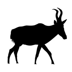 Red hartebeest - side view - Silhouette - Vector Illustration