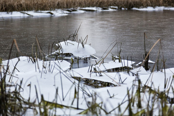 Winterimpressionen am vereisten Teich