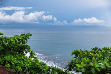 The ocean in cloudy weather and tropical tree. Bali, Indonesia