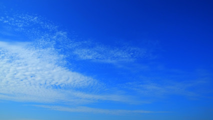 Naklejka na ściany i meble afternoon blue sky.
