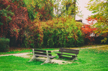 Autumn park with red trees and grape leaves and two benches, natural seasonal background