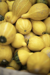 Pumpkins 03