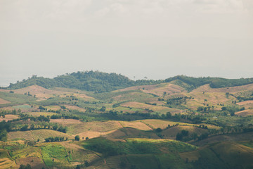 the tree view with clouds and hills