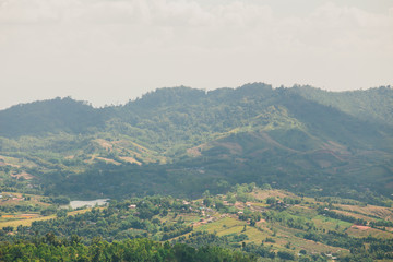 the tree view with clouds and hills