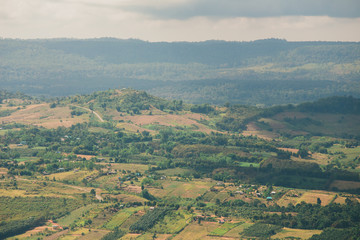 the tree view with clouds and hills