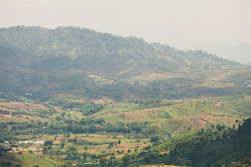 the tree view with clouds and hills