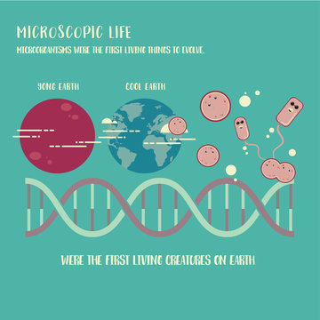 Microorganism life