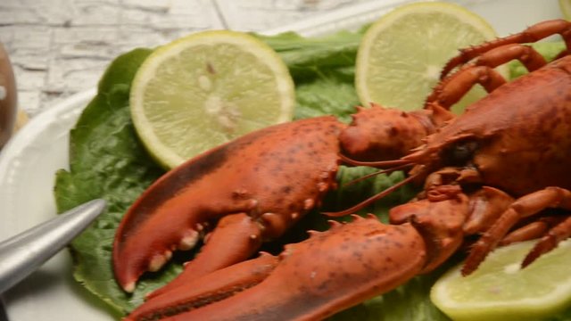 Homarus