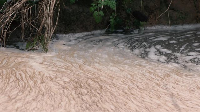 Organic scum forming foam on surface of river water. White and brown foam on water near shore with low flow rate, from dissolved organic carbon
