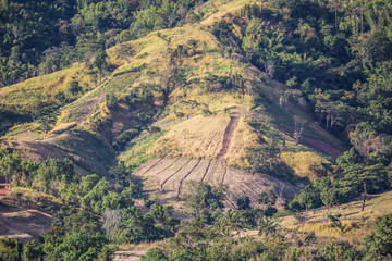 Wonderfull top hill lanscape in Thailand