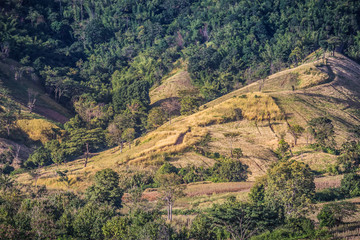 Wonderfull top hill lanscape in Thailand