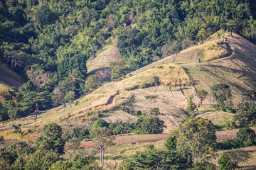 Wonderfull top hill lanscape in Thailand
