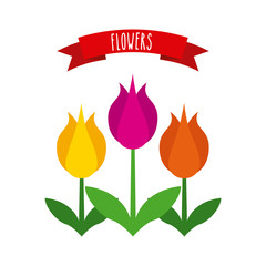 beautiful flowers and red ribbon over white background. colorful design. vector illustration