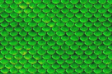 Repeating  snake skin  pattern