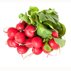 Radishes Isolated