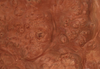 Texturas de madera exotica,  texturas de fondo