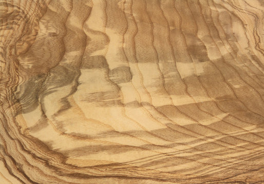 Texturas de madera exotica,  texturas de fondo