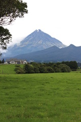 Fototapeta premium egmont2